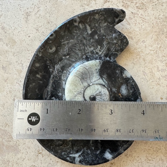 Orthoceras Fossil Ammonite Stone Jewelry Tray Handcarved - Picture 5 of 6